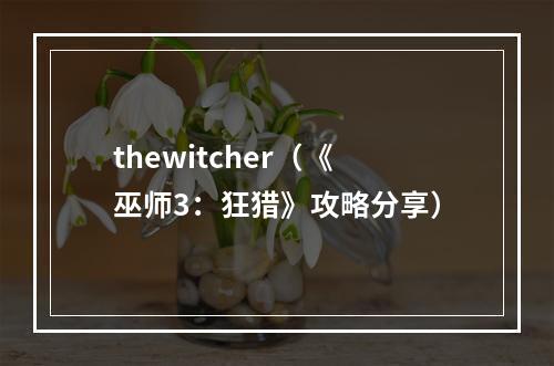 thewitcher（《巫师3：狂猎》攻略分享）