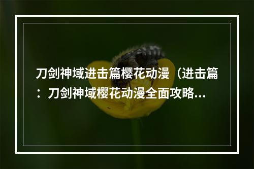 刀剑神域进击篇樱花动漫（进击篇：刀剑神域樱花动漫全面攻略）