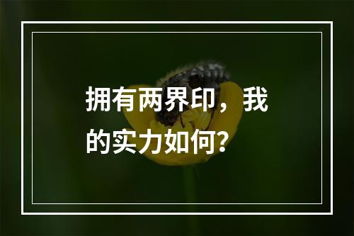 拥有两界印，我的实力如何？