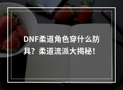 DNF柔道角色穿什么防具？柔道流派大揭秘！