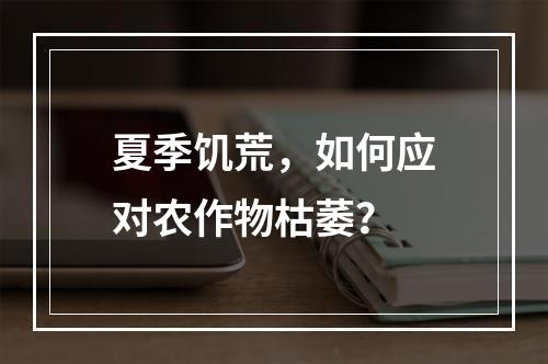 夏季饥荒，如何应对农作物枯萎？