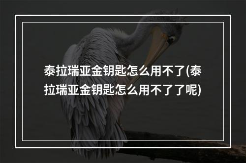 泰拉瑞亚金钥匙怎么用不了(泰拉瑞亚金钥匙怎么用不了了呢)