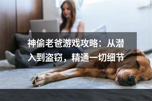 神偷老爸游戏攻略：从潜入到盗窃，精通一切细节