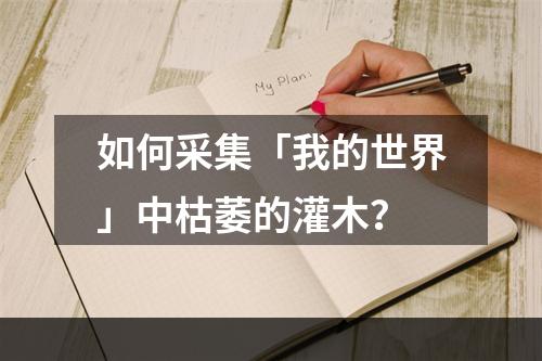 如何采集「我的世界」中枯萎的灌木？