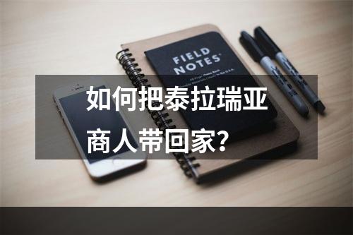 如何把泰拉瑞亚商人带回家？