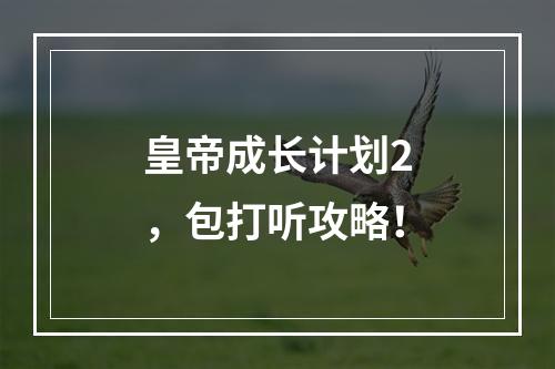 皇帝成长计划2，包打听攻略！