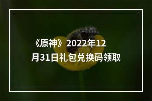 《原神》2022年12月31日礼包兑换码领取