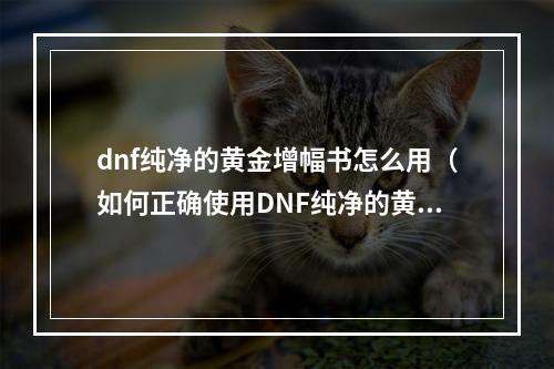 dnf纯净的黄金增幅书怎么用（如何正确使用DNF纯净的黄金增幅书？）