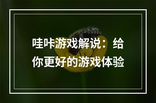 哇咔游戏解说：给你更好的游戏体验