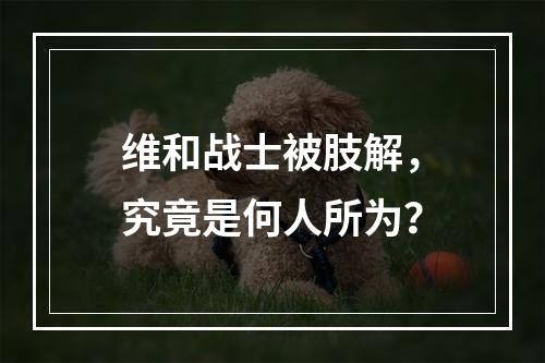 维和战士被肢解，究竟是何人所为？