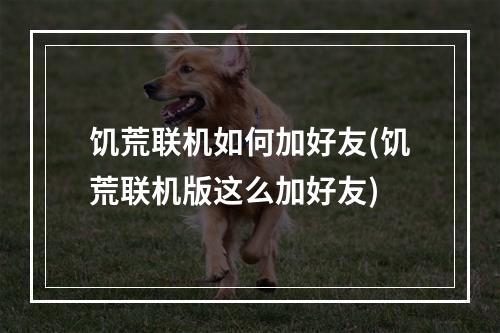 饥荒联机如何加好友(饥荒联机版这么加好友)