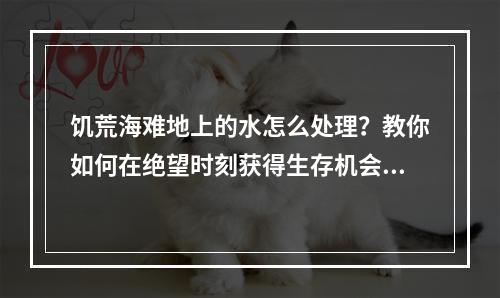 饥荒海难地上的水怎么处理？教你如何在绝望时刻获得生存机会！