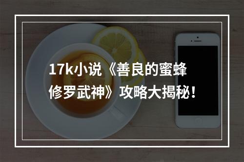 17k小说《善良的蜜蜂修罗武神》攻略大揭秘！