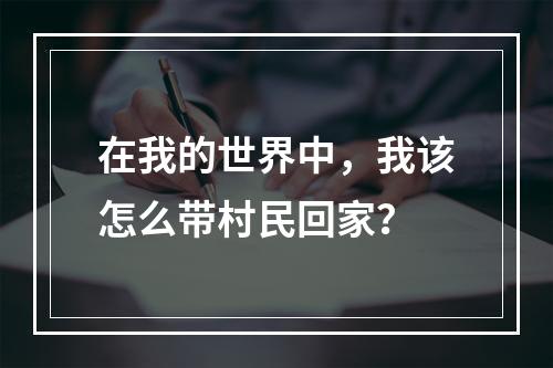 在我的世界中，我该怎么带村民回家？