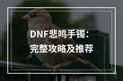 DNF悲鸣手镯：完整攻略及推荐