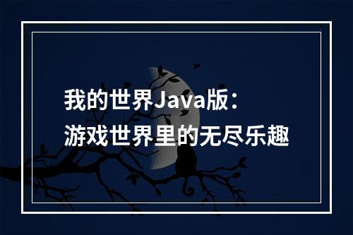 我的世界Java版：游戏世界里的无尽乐趣