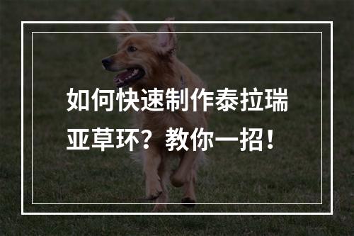 如何快速制作泰拉瑞亚草环？教你一招！