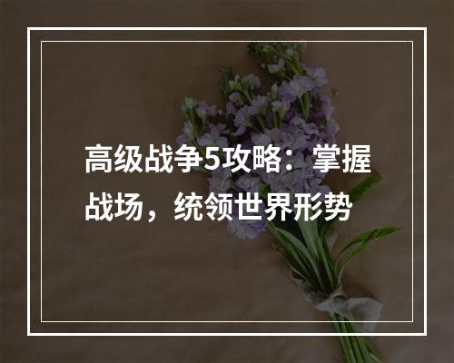 高级战争5攻略：掌握战场，统领世界形势