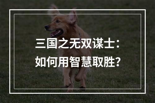 三国之无双谋士：如何用智慧取胜？