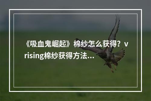 《吸血鬼崛起》棉纱怎么获得？v rising棉纱获得方法--安卓攻略网