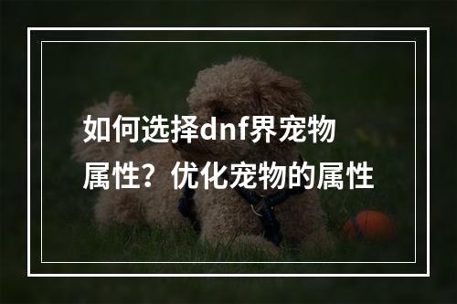 如何选择dnf界宠物属性？优化宠物的属性