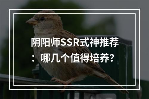 阴阳师SSR式神推荐：哪几个值得培养？