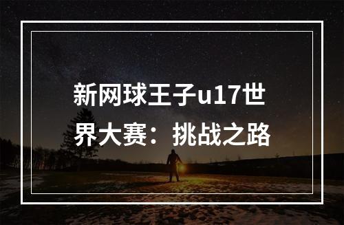 新网球王子u17世界大赛：挑战之路