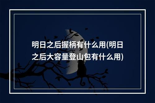 明日之后握柄有什么用(明日之后大容量登山包有什么用)