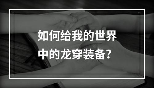 如何给我的世界中的龙穿装备？