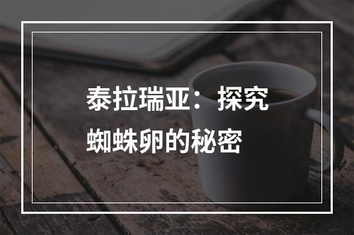 泰拉瑞亚：探究蜘蛛卵的秘密