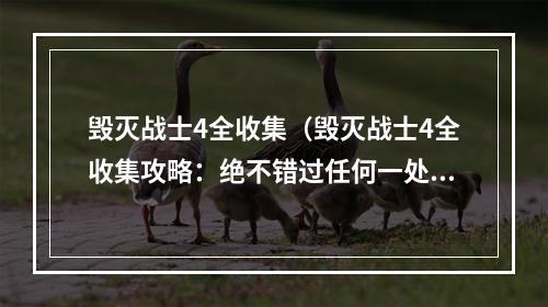 毁灭战士4全收集（毁灭战士4全收集攻略：绝不错过任何一处秘密！）