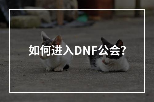 如何进入DNF公会？