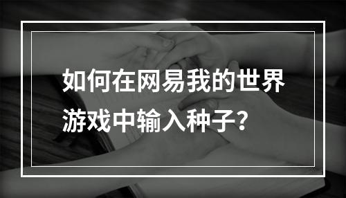 如何在网易我的世界游戏中输入种子？