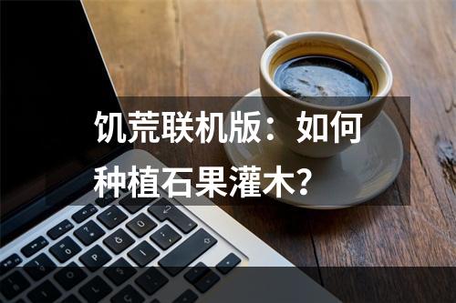 饥荒联机版：如何种植石果灌木？