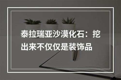 泰拉瑞亚沙漠化石：挖出来不仅仅是装饰品