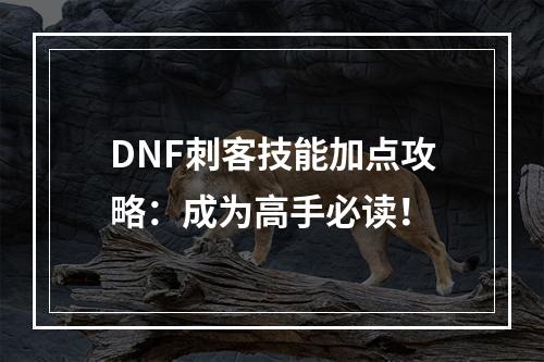 DNF刺客技能加点攻略：成为高手必读！