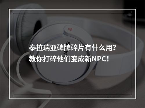 泰拉瑞亚碑牌碎片有什么用？教你打碎他们变成新NPC！