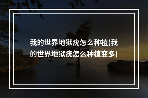 我的世界地狱疣怎么种植(我的世界地狱疣怎么种植变多)