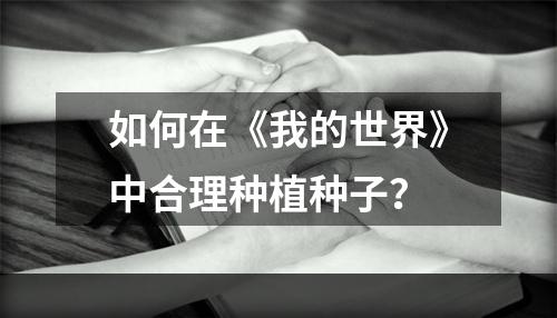 如何在《我的世界》中合理种植种子？