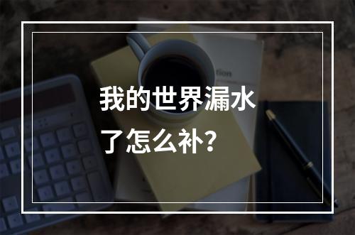 我的世界漏水了怎么补？