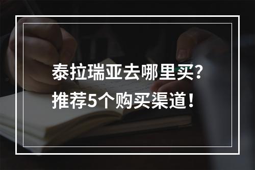 泰拉瑞亚去哪里买？推荐5个购买渠道！