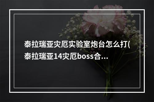 泰拉瑞亚灾厄实验室炮台怎么打(泰拉瑞亚14灾厄boss合成)