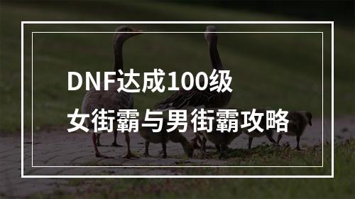 DNF达成100级女街霸与男街霸攻略