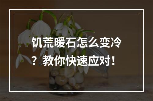 饥荒暖石怎么变冷？教你快速应对！