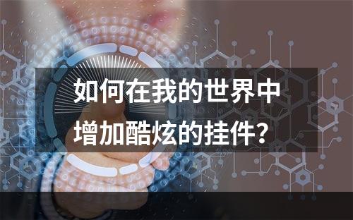 如何在我的世界中增加酷炫的挂件？