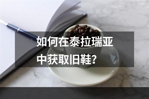 如何在泰拉瑞亚中获取旧鞋？