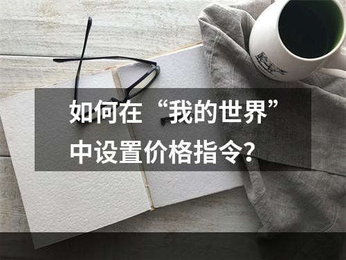 如何在“我的世界”中设置价格指令？