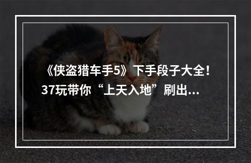 《侠盗猎车手5》下手段子大全！37玩带你“上天入地”刷出高分！