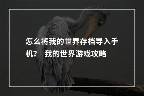 怎么将我的世界存档导入手机？  我的世界游戏攻略