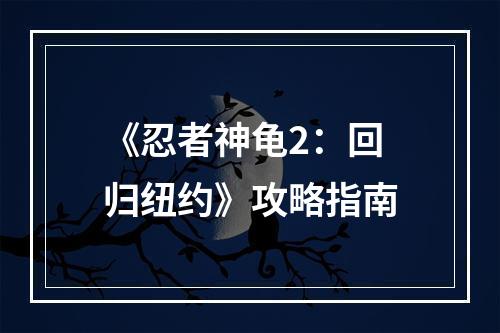 《忍者神龟2：回归纽约》攻略指南